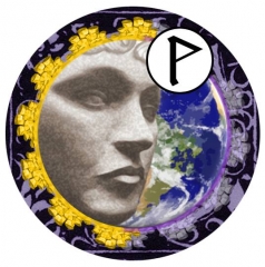 12834569_1703422549937554_465892347_n